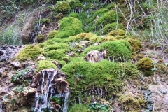 Reichenbach-Wasser - entdecke die Naturwesen