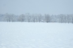 Winter-Naturfotos