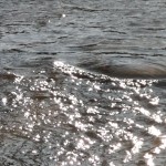imgp1673