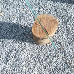 dscf4797 dscf4797