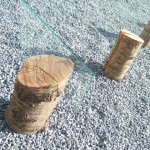dscf4798 dscf4798