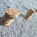 dscf4799 dscf4799