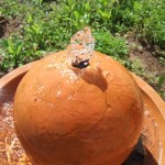 dscf5162 dscf5162