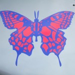 dscf5377