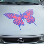 dscf5379