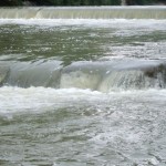 dscf5537 dscf5537