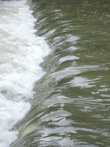 dscf5546