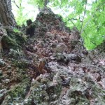 dscf5572 dscf5572