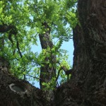 dscf5576 dscf5576