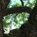 dscf5577 dscf5577