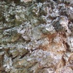 dscf5579 dscf5579