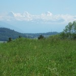 dscf5585