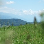 dscf5586