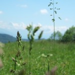 dscf5587