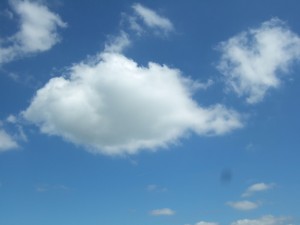dscf5594