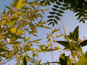 img_0053
