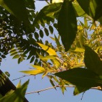 img_0055