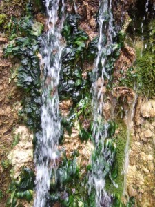 dscf5926