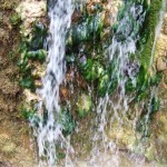 dscf5927