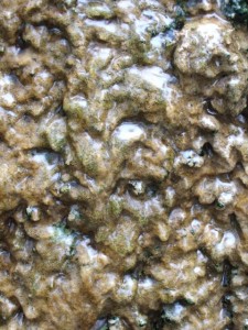 dscf5934