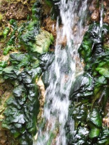 dscf5941