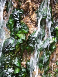 dscf5942