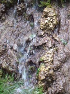 dscf5944