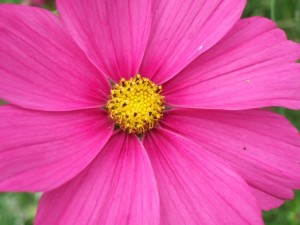 dscf6008