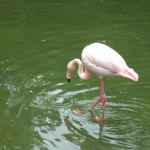 dscf0708 dscf0708