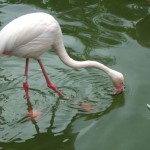 dscf0712 dscf0712
