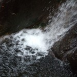 dscf6492 dscf6492