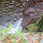 dscf6497 dscf6497