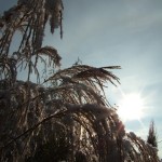 dscf6562