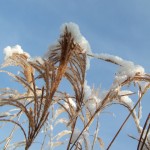 dscf6569