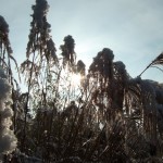 dscf6584