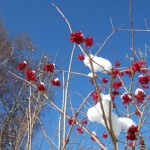 dscf6606