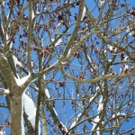 dscf6615