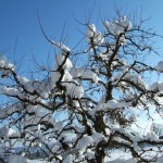 dscf6617