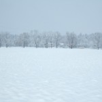 dscf6724