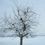 dscf6728