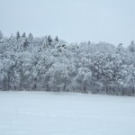 dscf6733