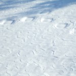 dscf6737