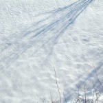 dscf6741