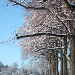 dscf6760