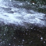 DSCF6811
