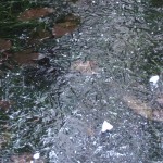 DSCF6817