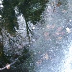 DSCF6820