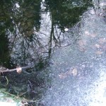 DSCF6824
