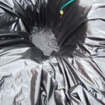 DSCF7563