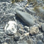 DSCF8071